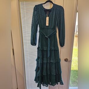 Hudson petite embroidered ruffle midi - Size 4 colour is mysterious  green. New